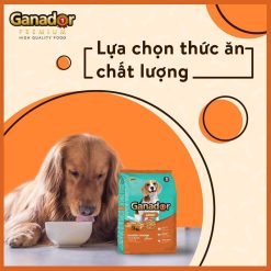 hat-ganador-vi-ga-quay-1