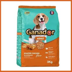 hat-ganador-vi-ga-quay