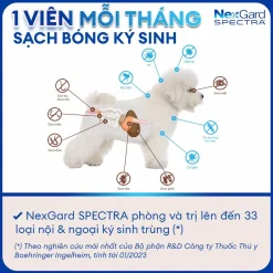 nexgard-spectra-1