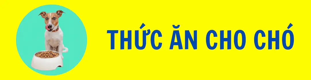thuc-an-cho-cho-banner